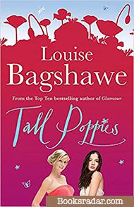 The Book Magnet: Career Girls - Louise Bagshawe